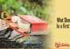 What Should Be in a Traveler, Backpacker & Hiker’s First Aid Kit? What Should Be in a Traveler, Backpacker & Hiker’s First Aid Kit?