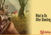 What to Do After Shooting a Deer? What to do after shooting a deer